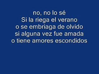 juan luis guerra te regalo una rosa (letra)