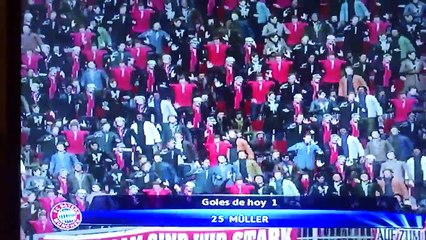 bayer munich gol de Muller