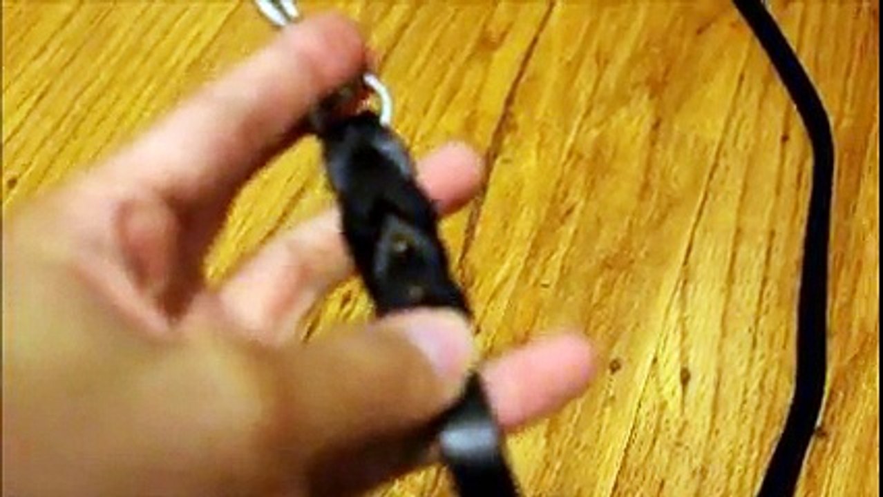 Best Lavien Braided Leather Leash for Small Dogs, Big Cats, Kitty, Canine