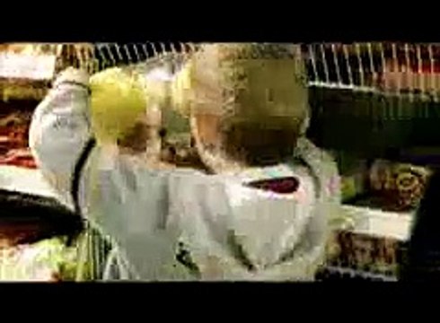 Funny Videos Funniest Commercial Eve?syndication=228326