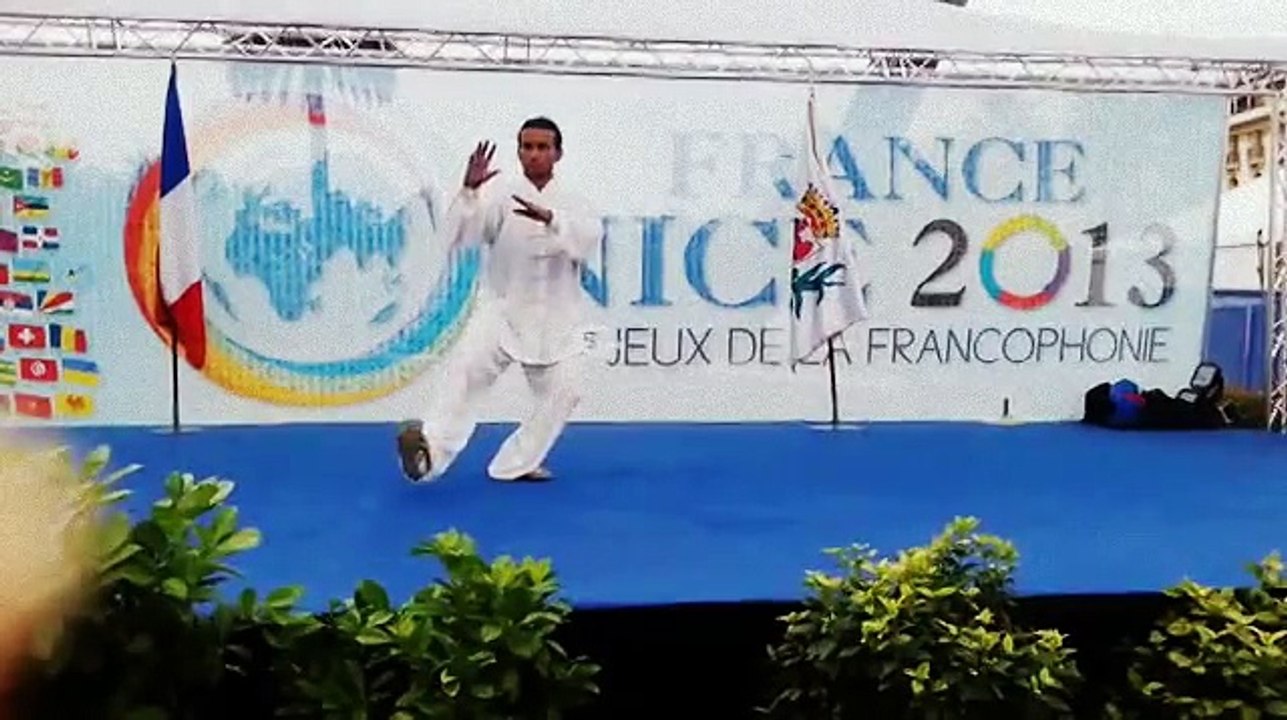 Tai Chi Qi Gong Meditation Self défense Compétition