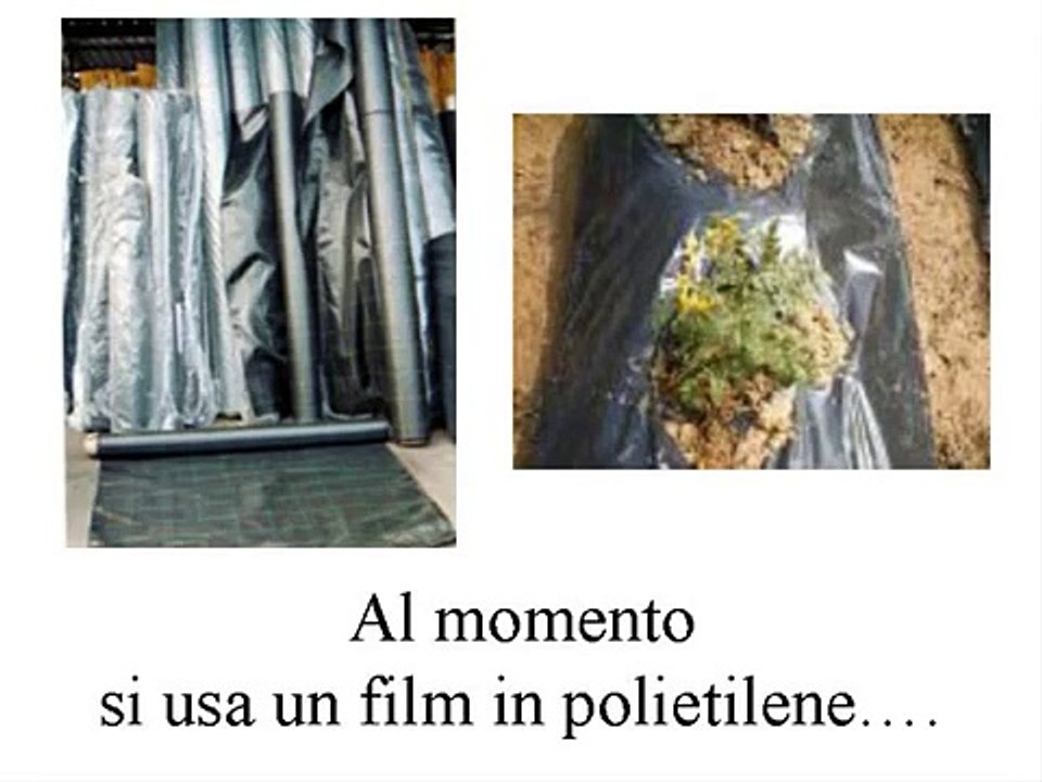 La pacciamatura in agricoltura con tunny
