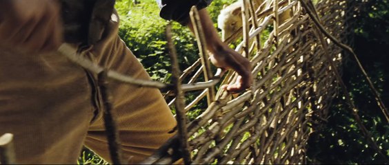 LOIN DE LA FOULE DÉCHAÎNÉE Bande Annonce VF