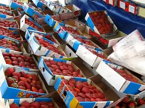 karachi Funny kela wala?syndication=228326