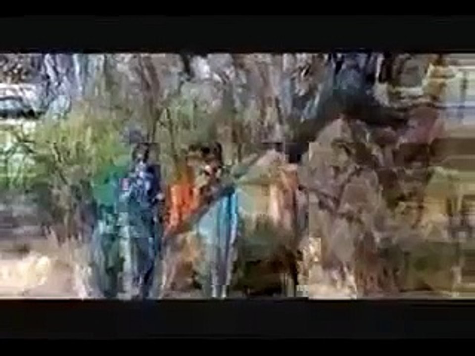 Lion attacking funny video?syndication=228326