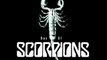 scorpions-holiday