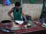 Cleaning Tuna in 60 secs at Maldives Fish Market
