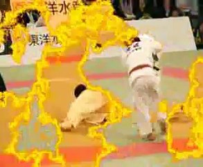 All Japan Judo Champioships 2005 Highlights