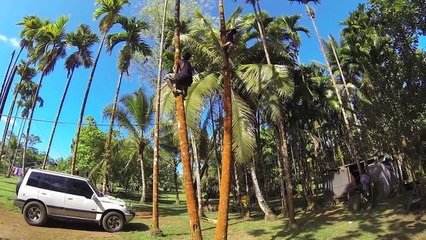 WorldTeach Micronesia, Pacific Islands