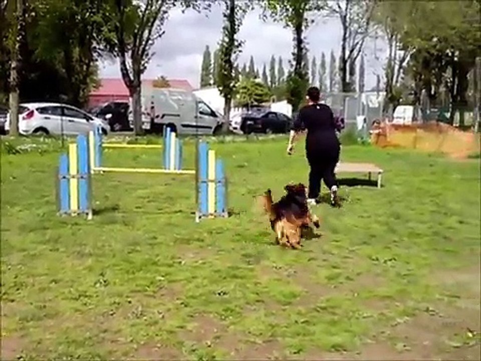 Nancy et nina entrainement du 25 avril 2015