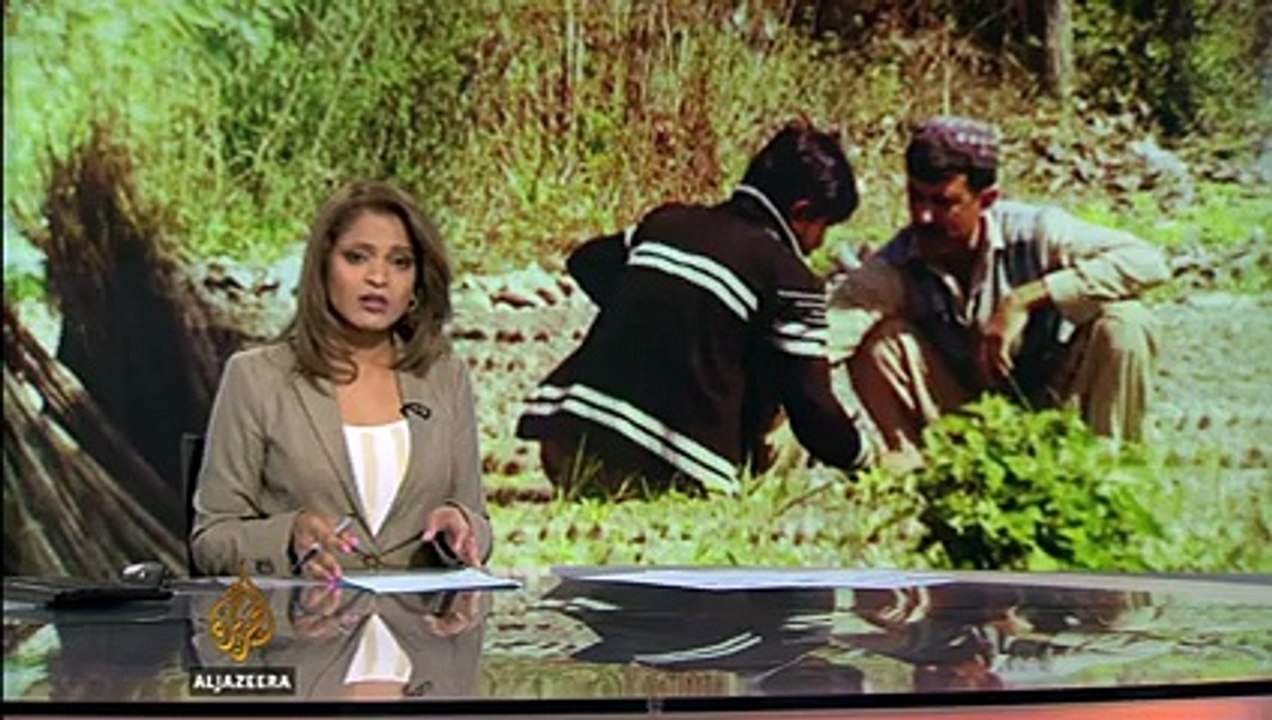 KPK Billion Tree Tsunami Project - A Revolutionary Project for KPK -