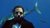 David Blaine - Shark Video - Long Breathhold with Sharks