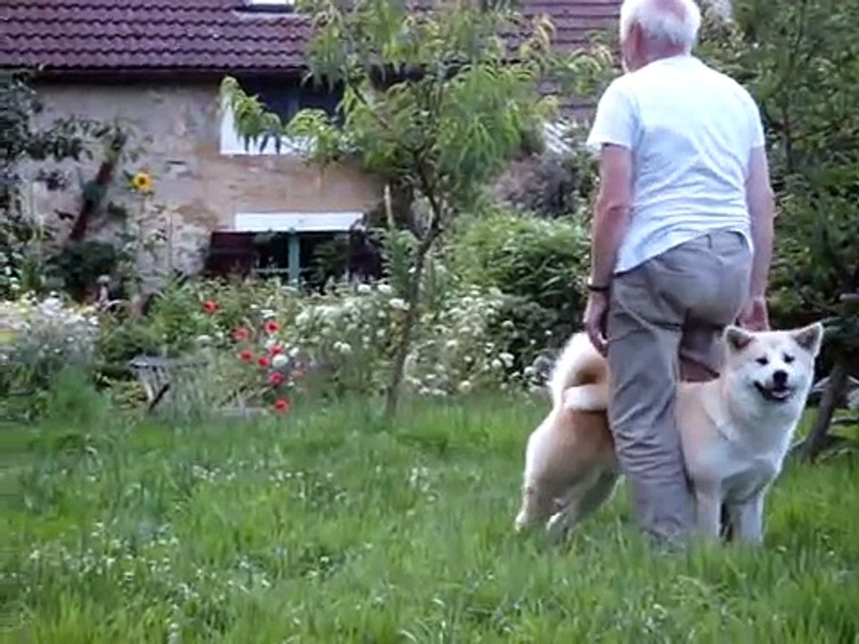 Quick brown fox jumps over the lazy dog
