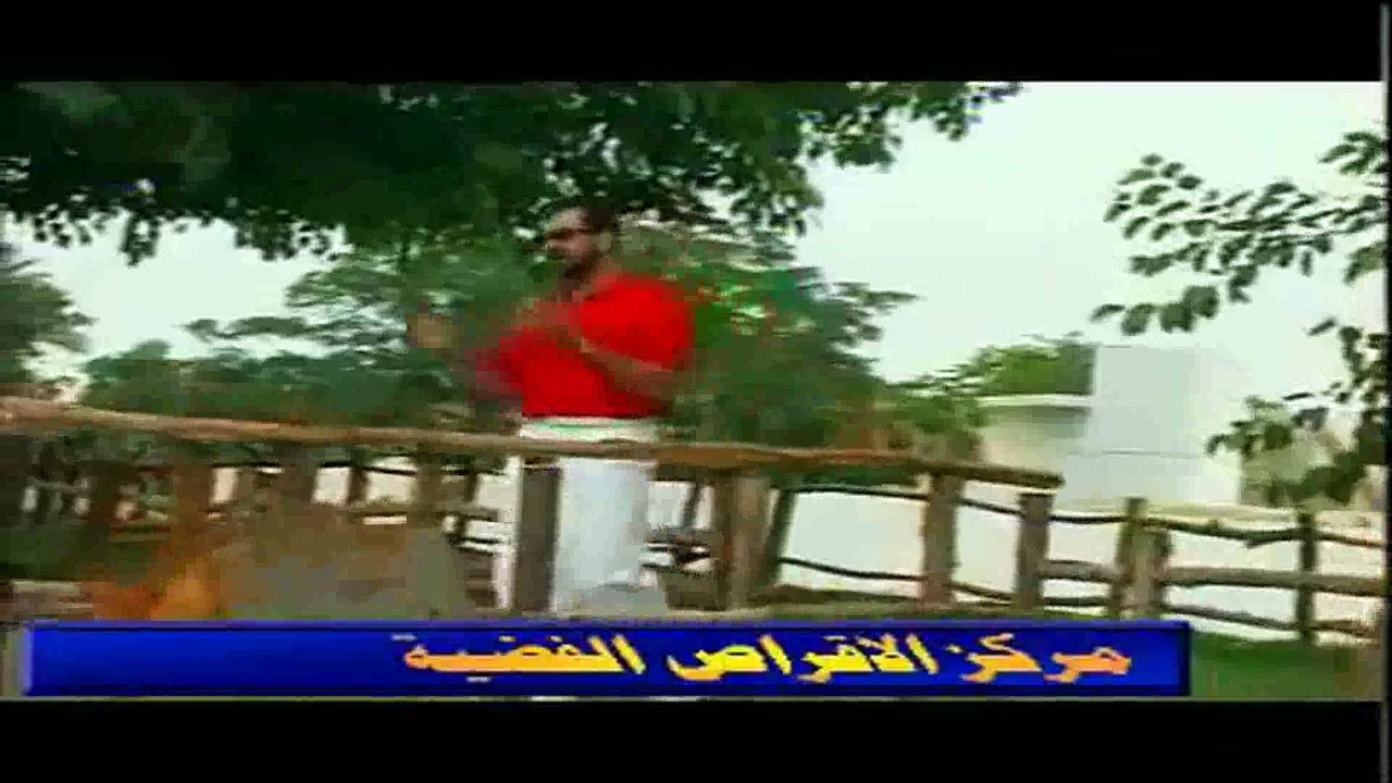 هاتف بعد منتصف الليل مشغولة بغيري