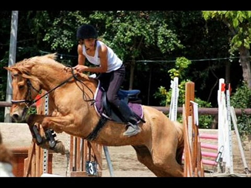 mon poney