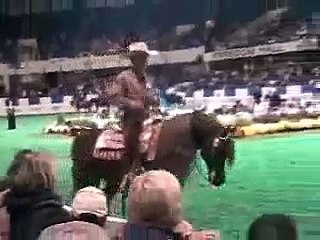 US Arabian Western Pleasure Open Final