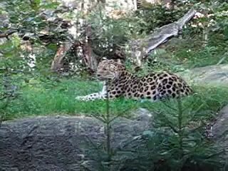 Nordens Ark (a Swedish zoo) Sept 2007