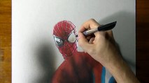 Drawing Time Lapse: The Amazing Spider-Man portrait, fan Art