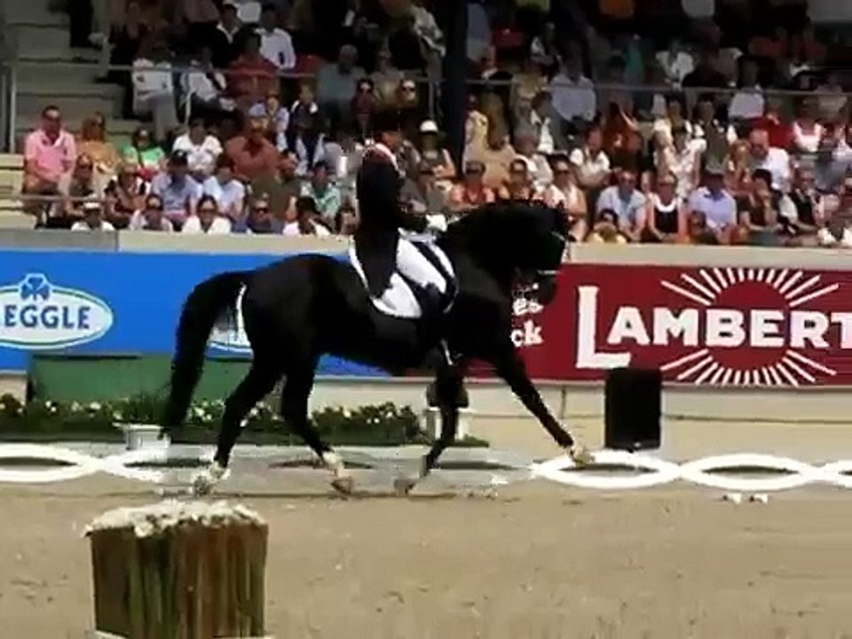 Totilas GP Special CHIO Aachen 2010 World Record Score
