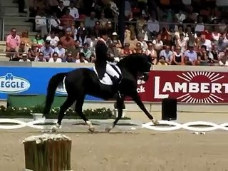 Totilas GP Special CHIO Aachen 2010 World Record Score