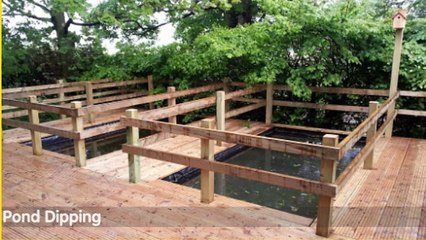 4 Must Try Outdoor Science Activities for Children