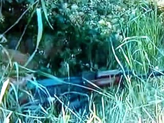 Donieck 27 05 2014(Ukraina)wojsko Ukraińskie atakuje Separatystów,fight in Donetsk