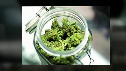 Cannabis Delivery Los Angeles