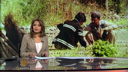 الجزیرہ نیوز کی خیبر پختونخواہ -بلین... - I hate patwari league PMLN - Facebook‬