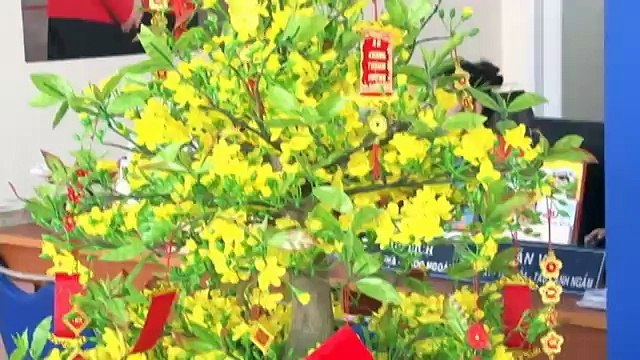 Chuyên cung cấp vé máy bay Vietjet giá rẻ