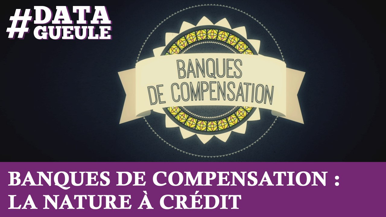 Banques de compensation : la Nature à crédit #DATAGUEULE 35