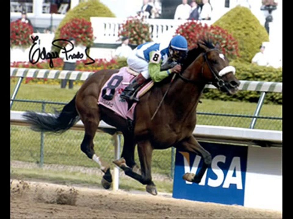 Barbaro Tribute