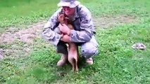 Military Reunions with their dogs very touching