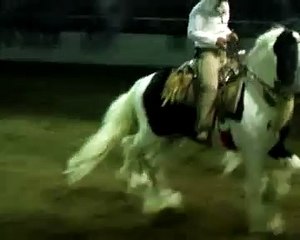 Caballos Bailadores en la Expo Ganadera Jalisco