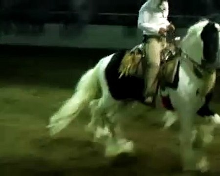 Caballos Bailadores en la Expo Ganadera Jalisco