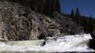 Migrating Wild Salmon at Dagger Falls on the Middle Fork of the Salmon River