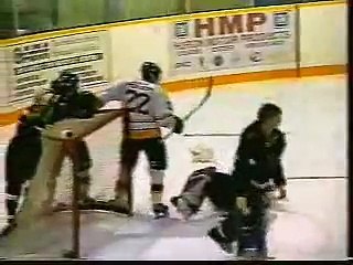 Hockey fight