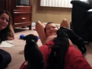 Crazy puppy attacks kids privates!