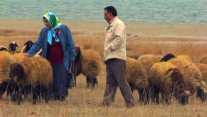 Celal Öz - Hawer Lo Dıle Mıno