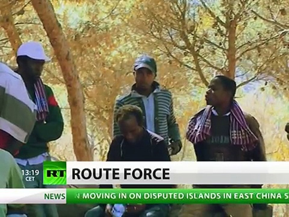 Less precious than birds? Europe fences off African immigrants