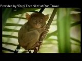 Explore - Philippines - Manila to Mindanao 1 of 4 - BBC Travel Documentary