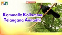 Telangana Songs - Kommallo Koilamma Telangana Annadhi | Folk Songs Juke Box