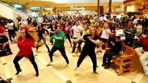 LMFAO Flash Mob Dance in Mall