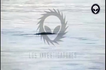 El mejor video del Nahuelito en Bariloche - The best video Nahuelito in Bariloche