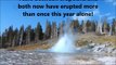 Breaking! Yellowstone's Geysers Erupting!  Just Released Videos!