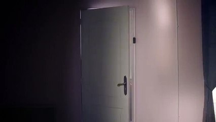 Shiva Communication pour Bouygues Immobilier - «Les visites de Romain, www.lesvisitesderomain.com» - mai 2015 - une vue unique