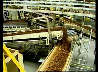 Philip Morris Tobacco Factory