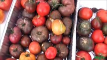 How to Save Tomato Seeds - Seed Saving Series