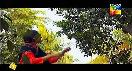 Jugnoo Video OST - Full Title Song [HQ]
