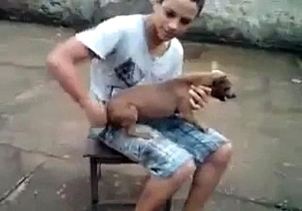 Funny Dog