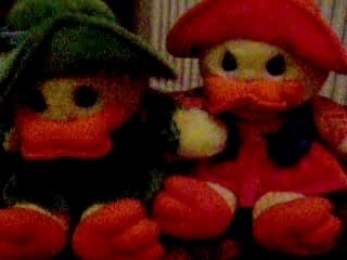 la danse des canards